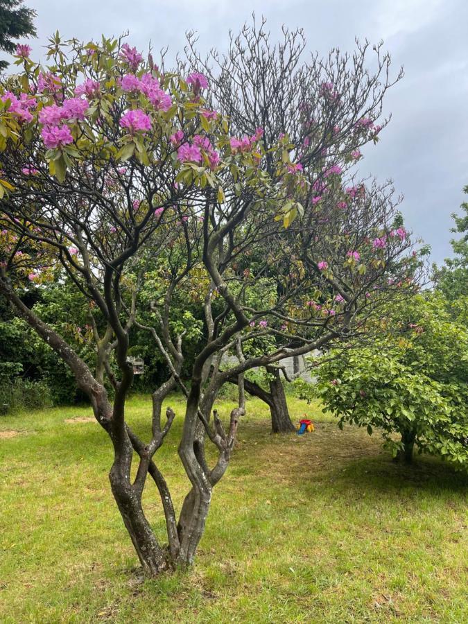 Hostal Das Hause Puerto Varas Zewnętrze zdjęcie